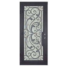 Load image into Gallery viewer, PINKYS Dream Black Steel Single Flat Doors