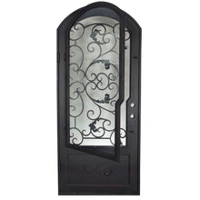 Load image into Gallery viewer, Single entryway door made with a thick iron and steel frame, a single paned window behind an intricate iron design, and a slight arch on top. Door is thermally broken to protect from extreme weather.