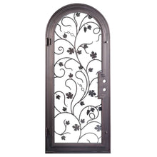 Load image into Gallery viewer, Single entryway door with a thick iron and steel frame and an intricate iron pattern in front of a full panel of glass and a full arch on top. Door is thermally broken to protect from extreme weather.