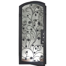 Load image into Gallery viewer, Single entryway door made with a thick iron and steel frame, a single full paned window behind an intricate iron design, and a slight arch on top. Door is thermally broken to protect from extreme weather.
