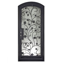 Load image into Gallery viewer, PINKYS June Black Iron Single Arch Door