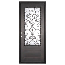 Load image into Gallery viewer, Single entryway door with a thick iron frame and intricate iron detailing behind a 3/4 pane of glass. Door features a slight arch and is thermally broken to protect from extreme weather.