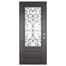 Load image into Gallery viewer, Single entryway door with a thick iron frame and intricate iron detailing behind a 3/4 pane of glass. Door features a slight arch and is thermally broken to protect from extreme weather.