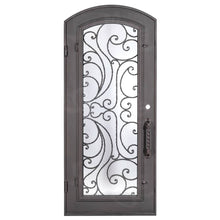 Load image into Gallery viewer, Single entryway door with a full length pane of glass behind intricate iron detailing. Door features a slight arch and is thermally broken to protect from extreme weather.