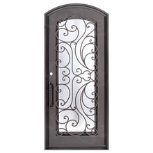 Load image into Gallery viewer, Single entryway door with a full length pane of glass behind intricate iron detailing. Door features a slight arch and is thermally broken to protect from extreme weather.