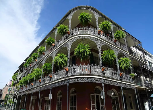 A historic New Orleans building with ornate wrought iron balconies, decorated with hanging ferns and potted plants, set against a bright blue sky.