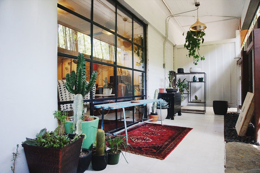 The view of a room with a rug, tables, cacti and other fixtures including a room divider from Pinky’s Iron Doors interior steel door collection.