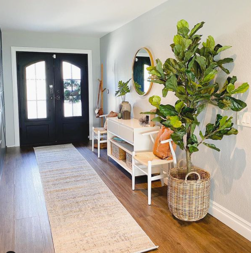 3 Custom Wrought Iron Door Myths Busted