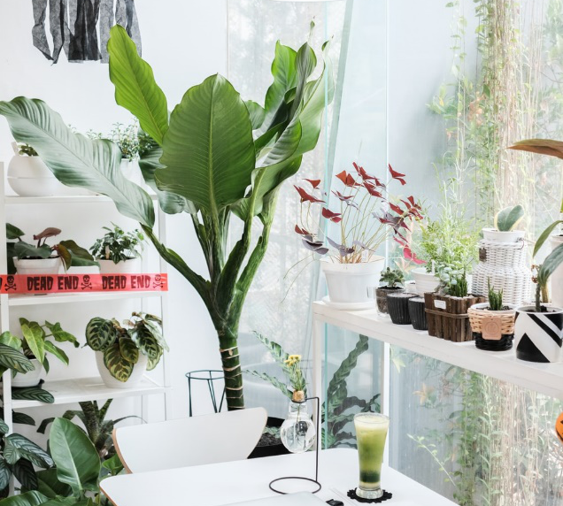 5 Reasons Why Fresh and Summery Interior Spaces Are Here to Stay!