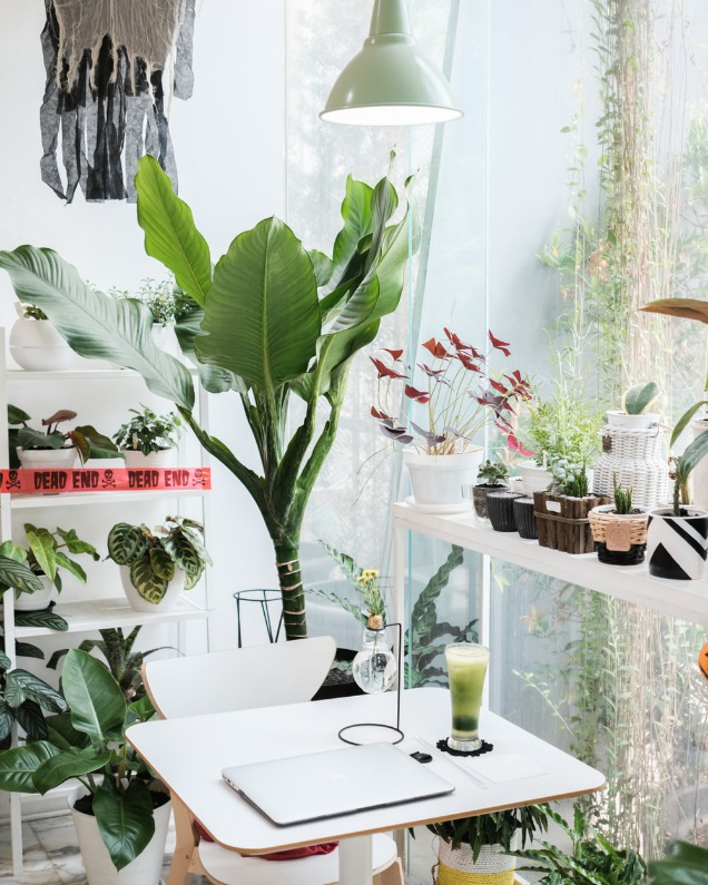 5 Reasons Why Fresh and Summery Interior Spaces Are Here to Stay!