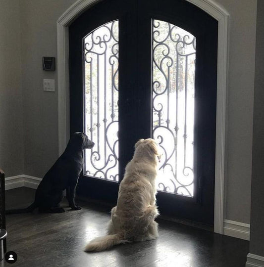 Pinky’s Iron Doors Ohio—Montgomery