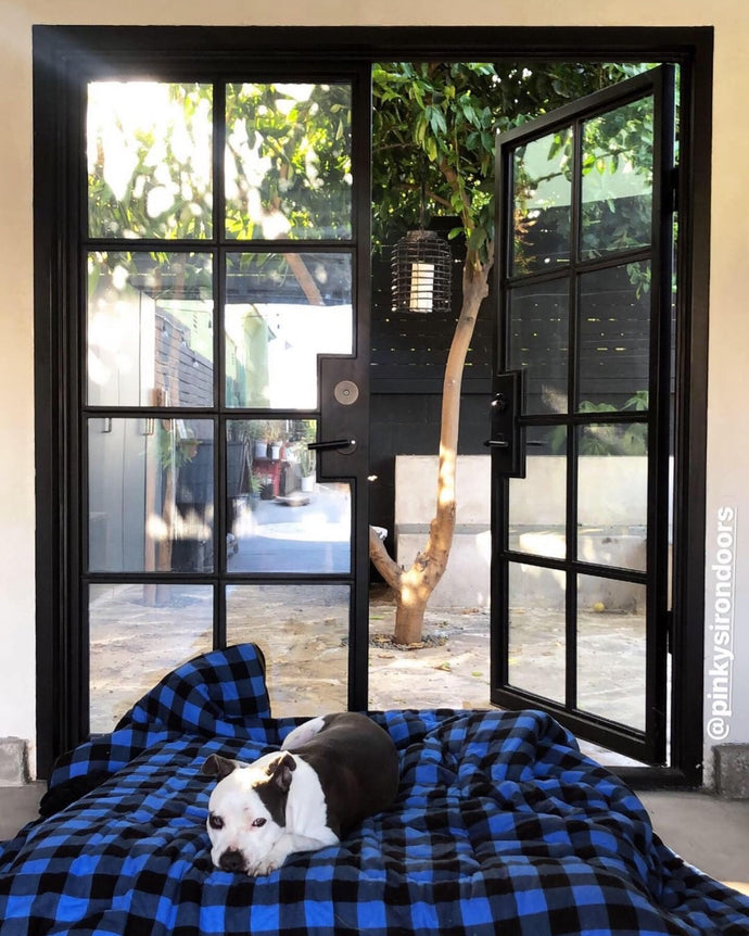 Top 5 Iron Doors That Supply Optimal Natural Sunlight In A Home