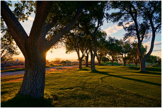 steel doors in Albuquerque