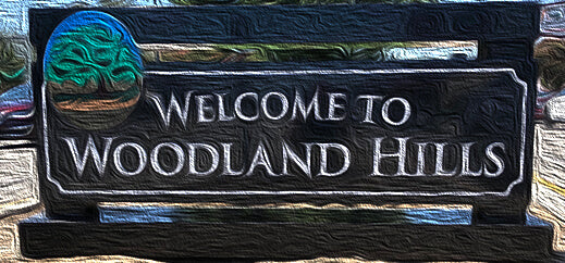 Wrought Iron Entry Front Doors In Woodland Hills, California