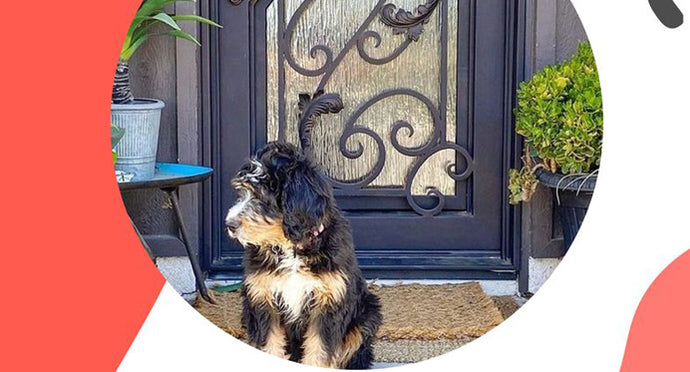 Factors To Consider When Buying Iron Doors