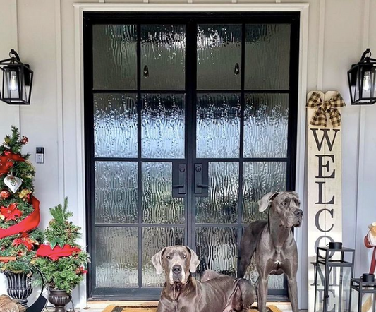 French Iron Door Styles That Add to the Aesthetics of Your Contemporary Home in West Lake Hills