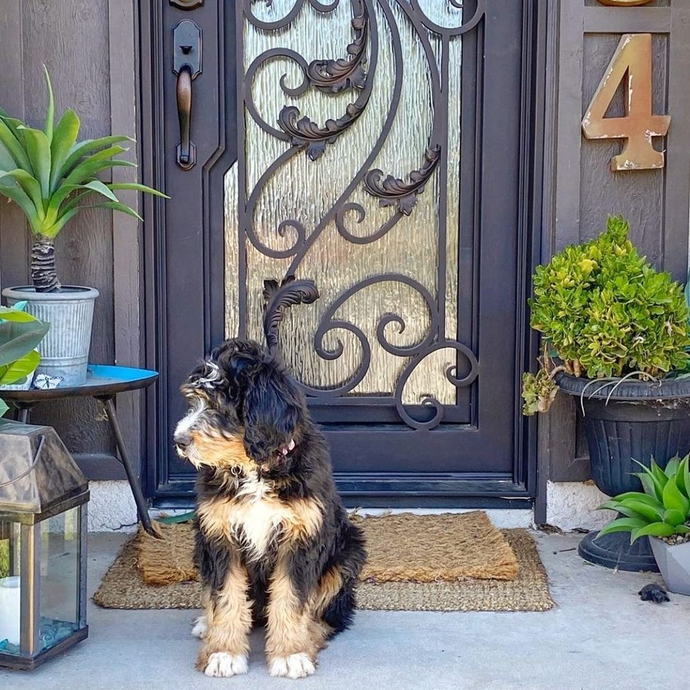 High-Quality Iron Doors and Steel Doors in Huntsville