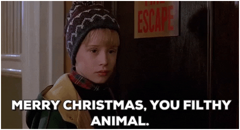 Did You Get Left Home Alone This Christmas? If So, Make Sure You Have A Wrought Iron Door You Filthy Animal!