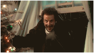 Did You Get Left Home Alone This Christmas? If So, Make Sure You Have A Wrought Iron Door You Filthy Animal!
