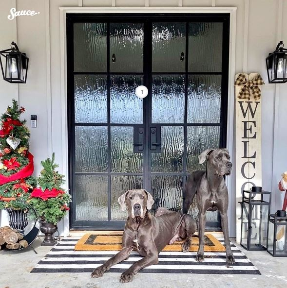 Jonesboro Home Improvements: Adding Modern Iron and Steel Doors