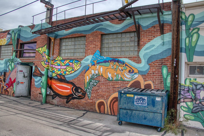 Add a Modern Touch to Your Laramie Home with Our Black Steel Doors