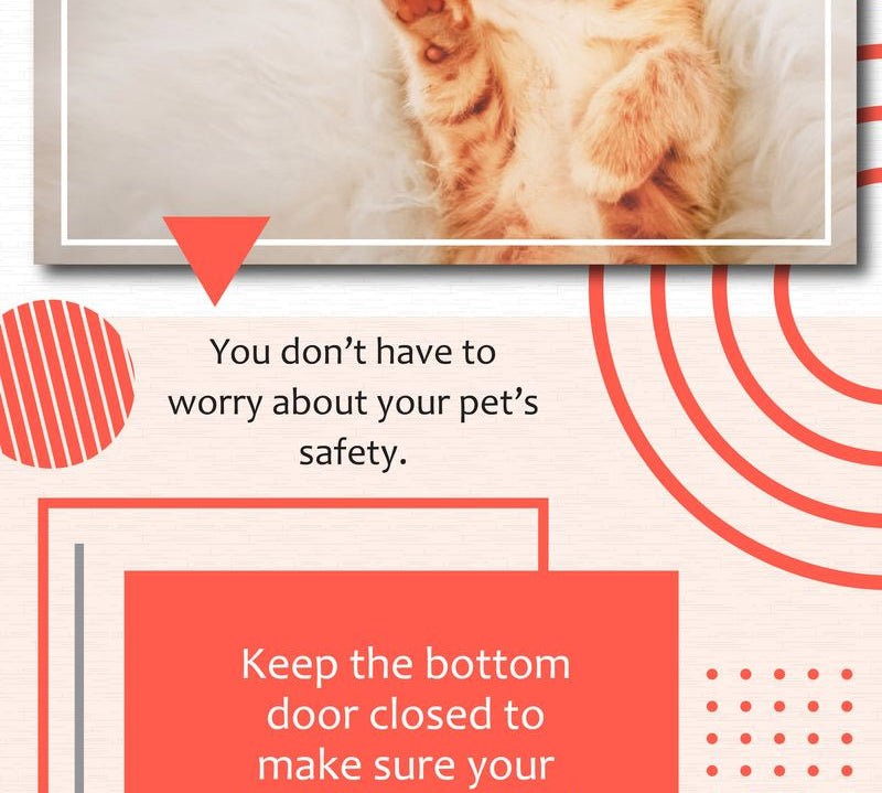 Reasons Investing In A Dutch Door IS A Great Idea