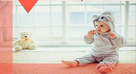 Reasons Investing In A Dutch Door IS A Great Idea