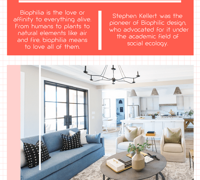 Understanding Biophilic Design