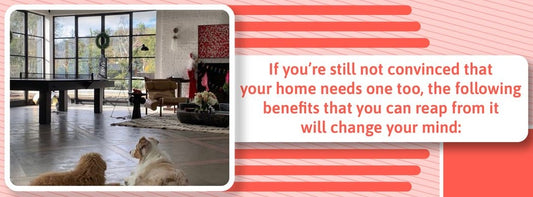 Why Your Home Needs Bi-Fold Doors