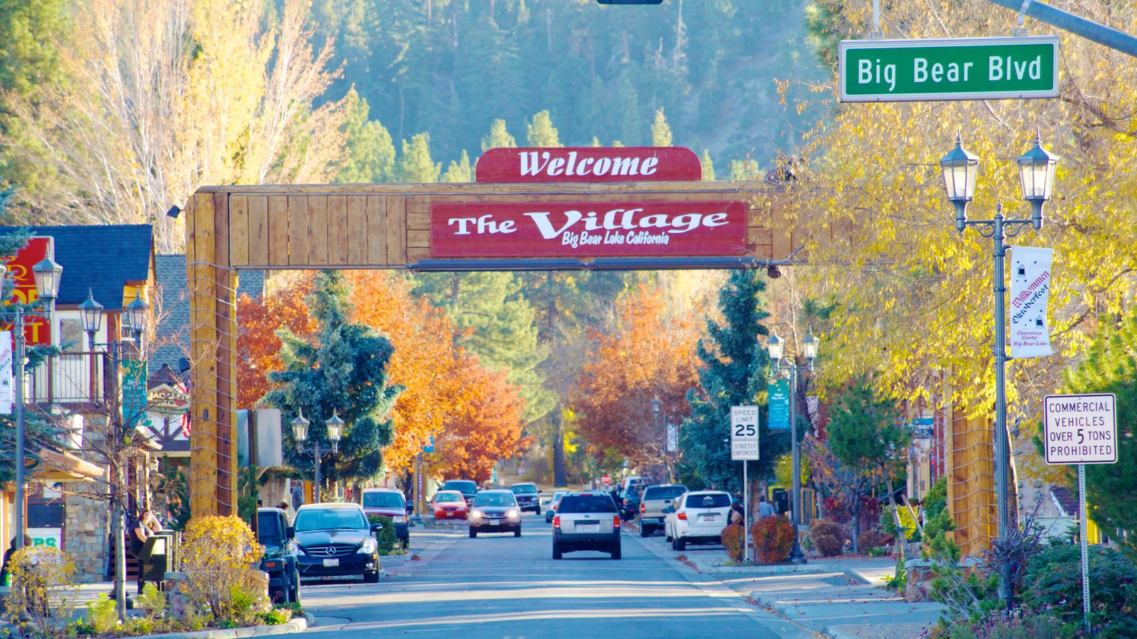 Wrought Iron Entry Front Doors in Big Bear CA