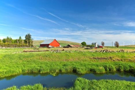 A Closer Look in Duvall, Washington:  Pinky’s Iron Doors