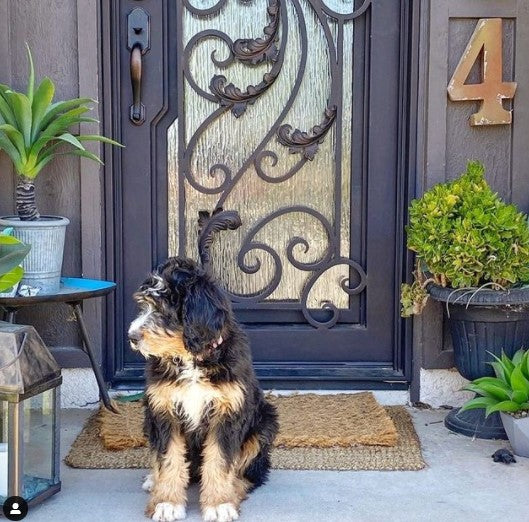 Why Replacing Home Doors is Necessary When Renovating New Properties