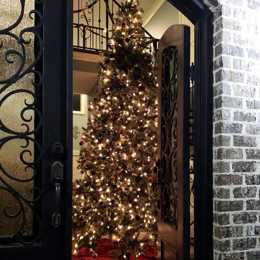 Modern Entry Doors in Buffalo