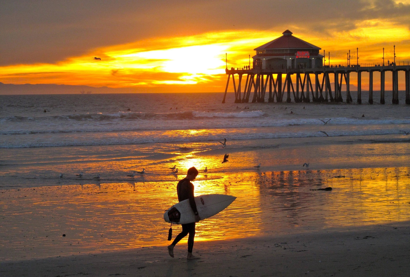 The Iron Door Aesthetic - Why Consider Iron Doors in Newport Beach, California