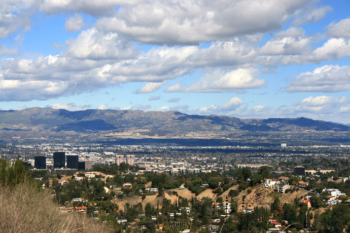 Wrought Iron Entry Front Doors in Sherman Oaks CA | Pinky's Iron Doors