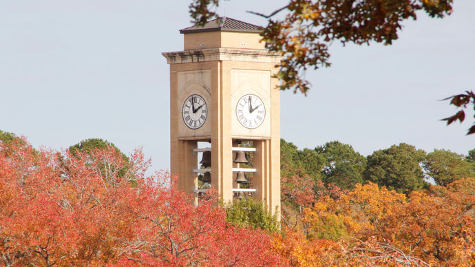 Wrought Iron Entry Front Doors in Tyler Texas | Pinky's Iron Doors