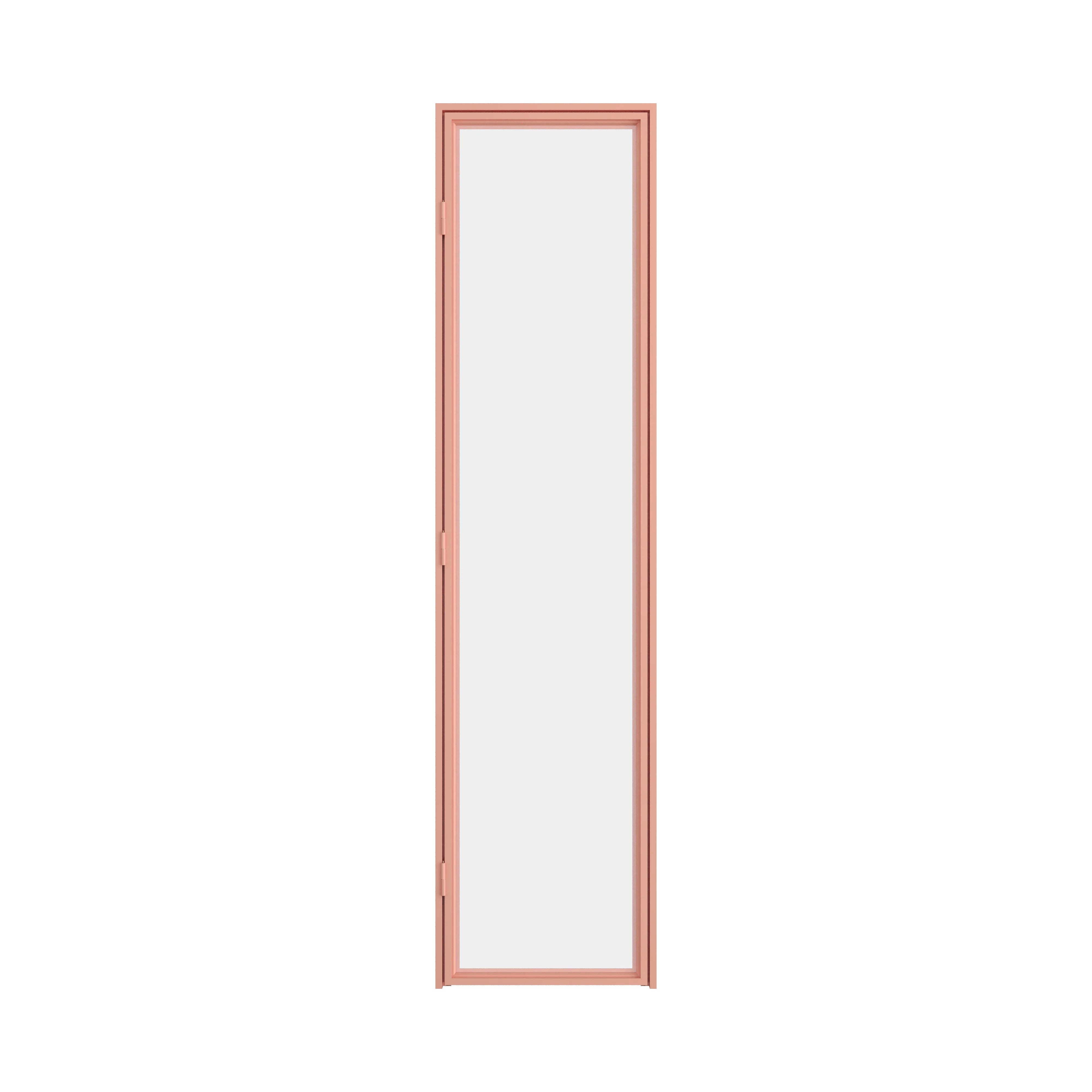 Modern glass pantry door with slim steel frame and contemporary styling