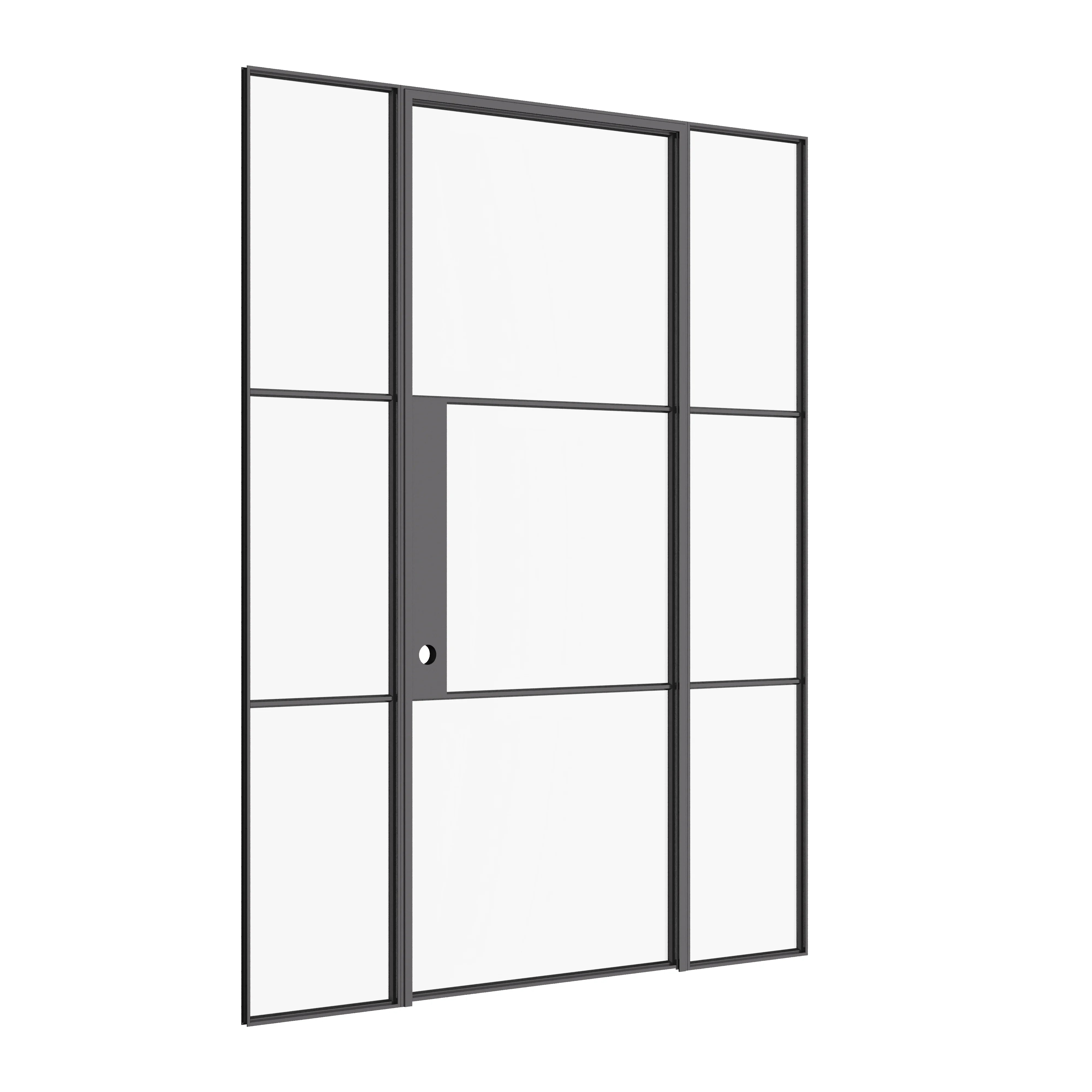 Air 4 single door and side lites combination in black architectural steel