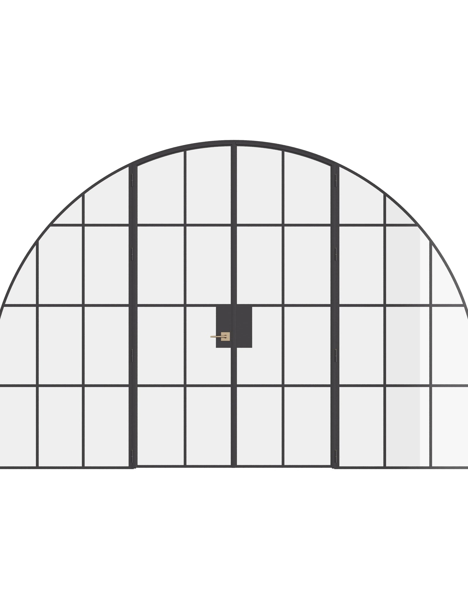 Interior wide double full arch steel doors with sidelights