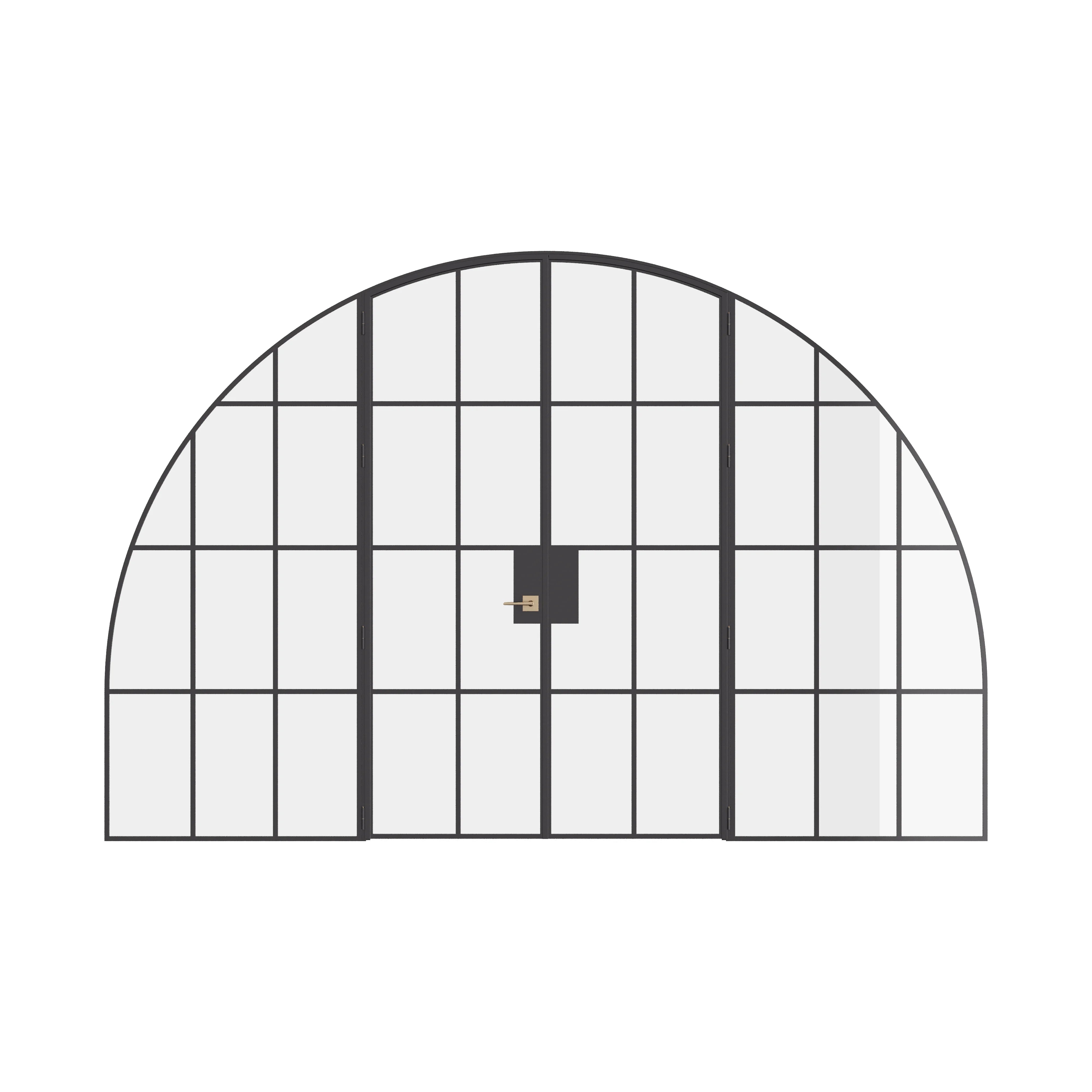 Interior wide double full arch steel doors with sidelights