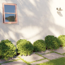 Load image into Gallery viewer, Air Window 0V 1H with Ring Pull - Awning Portrait | Standard.Sizes
