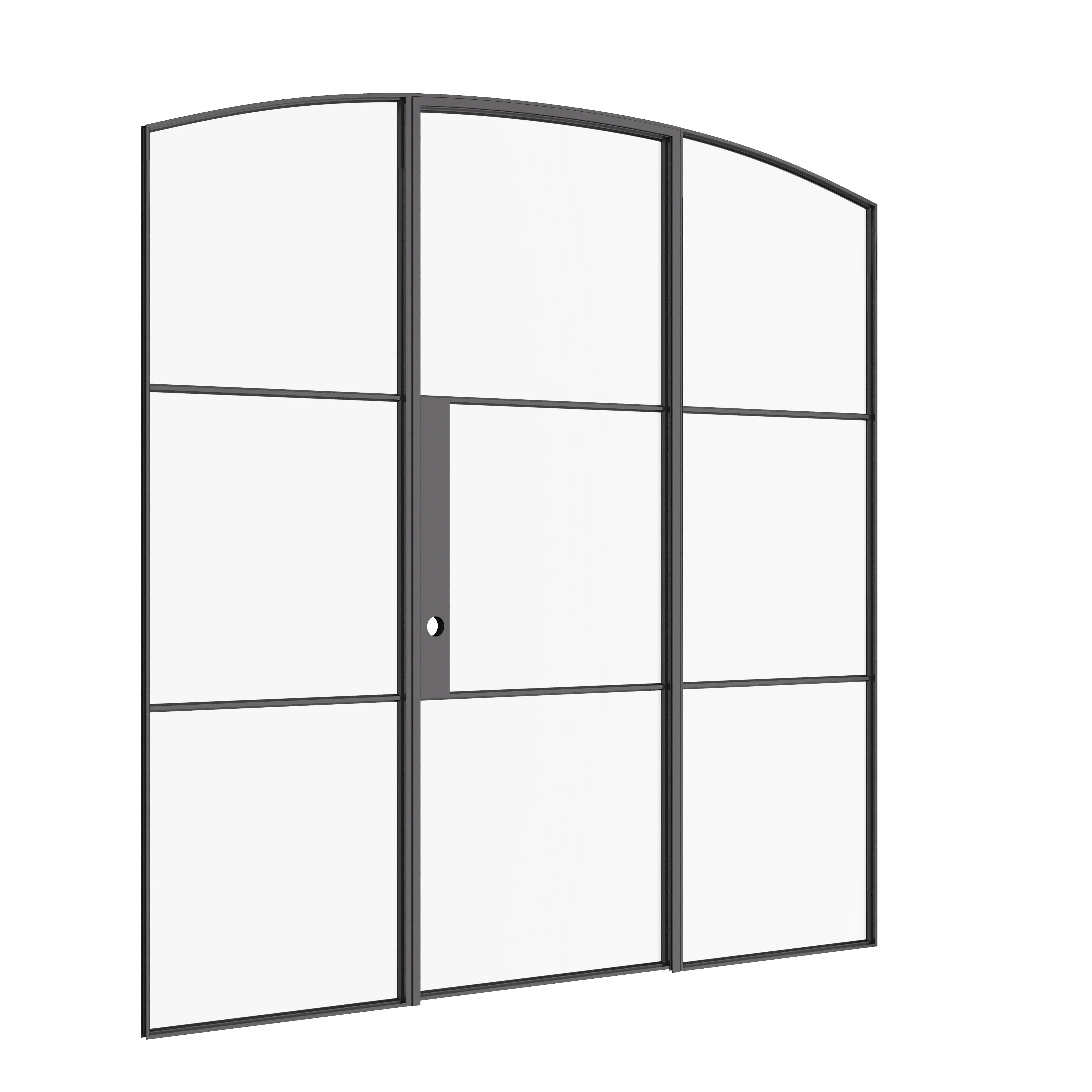Air 4 single arch steel door with flanking glass sidelites