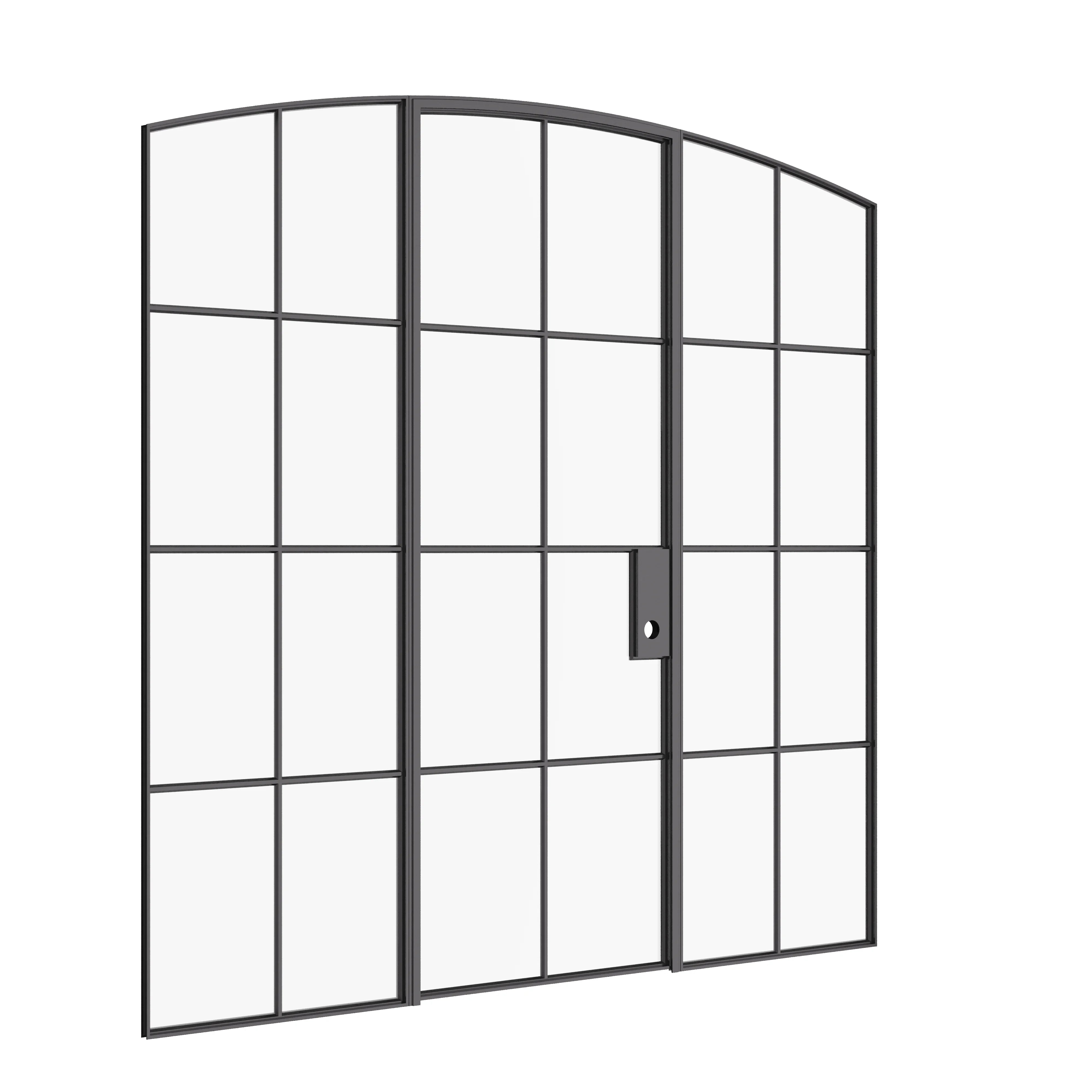 Interior single arch hot-rolled steel door with sidelights