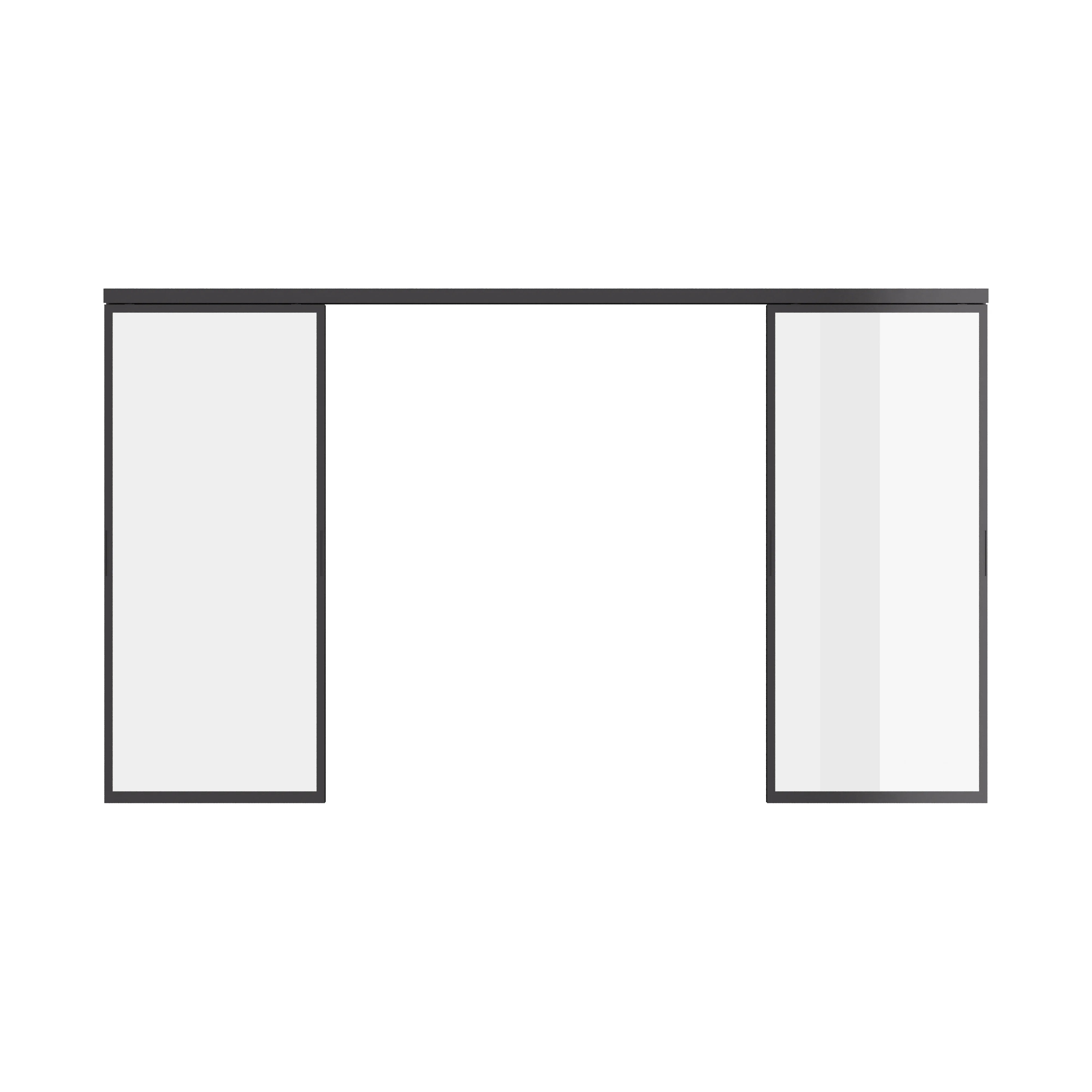 Double flat modern slider door with top track and slim sightlines