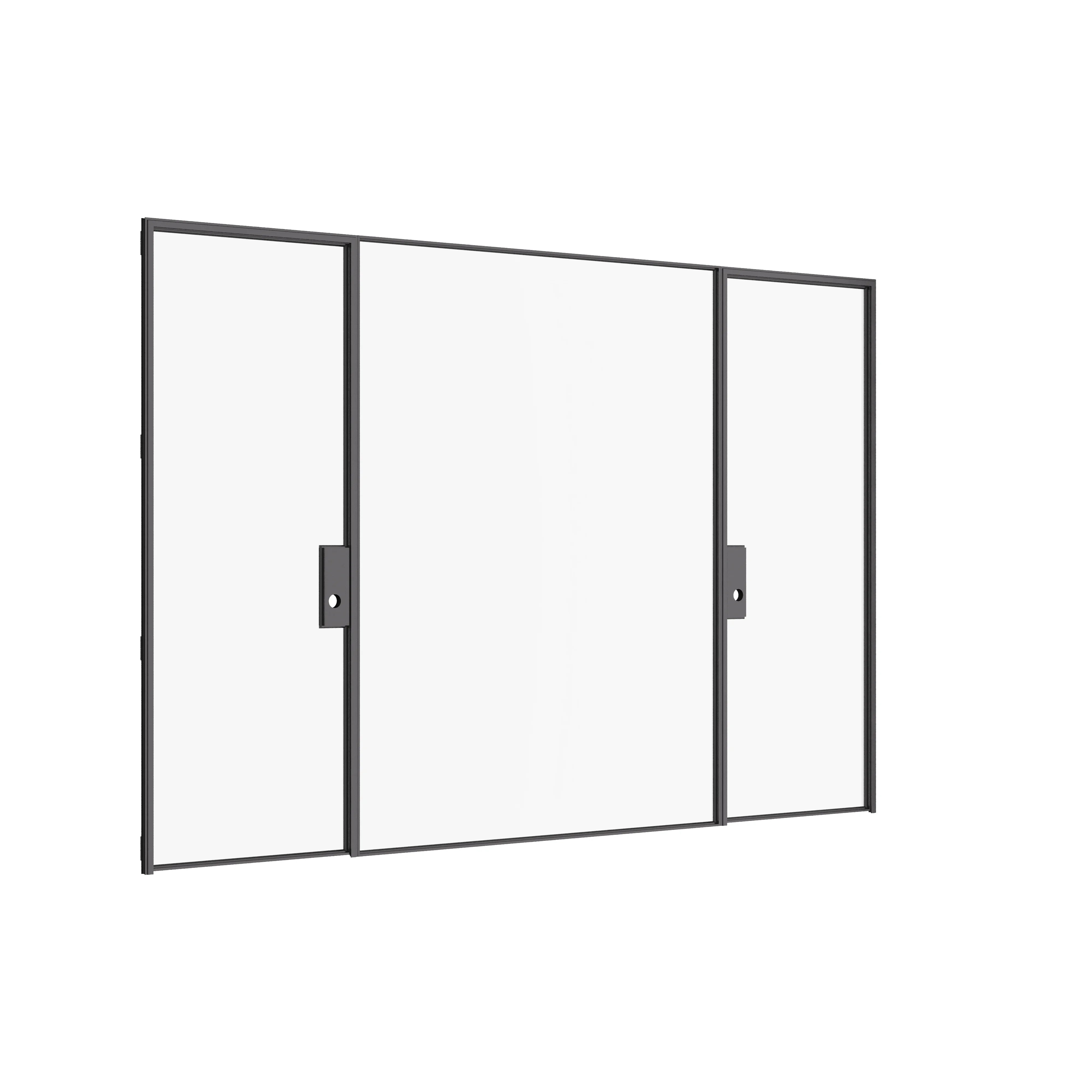 Architectural dual single steel doors with central fixed lite and precision-engineered frame.