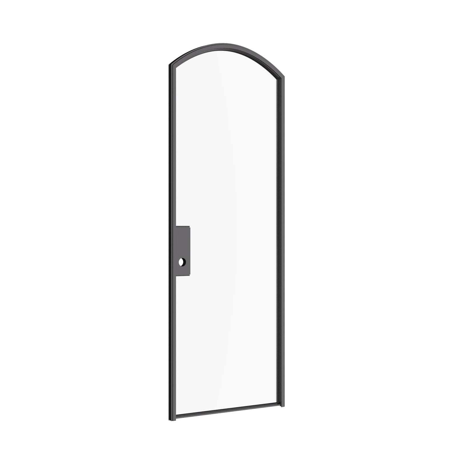 Architectural single arch steel door with narrow sightlines and glass
