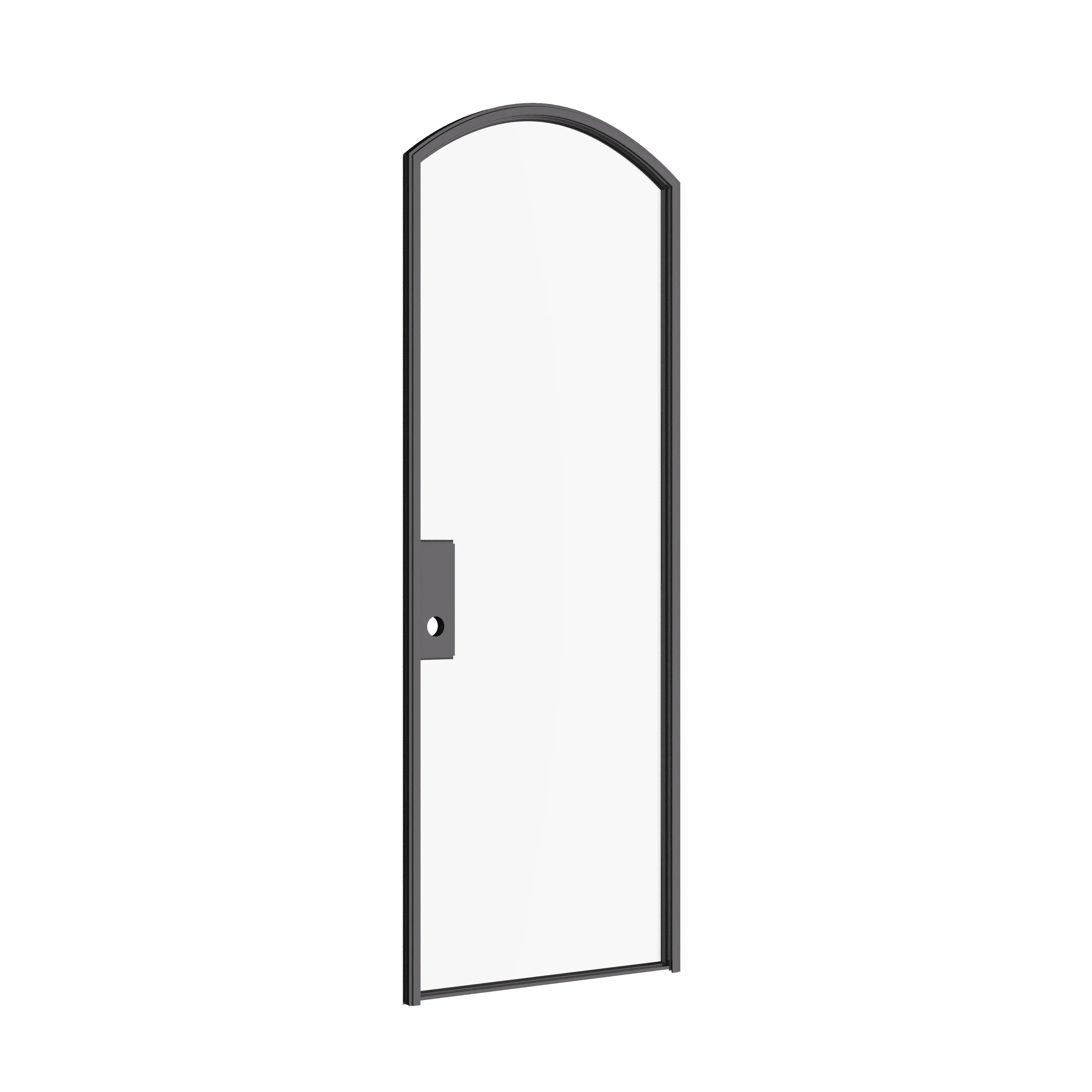 Architectural single arch steel door with narrow sightlines and glass