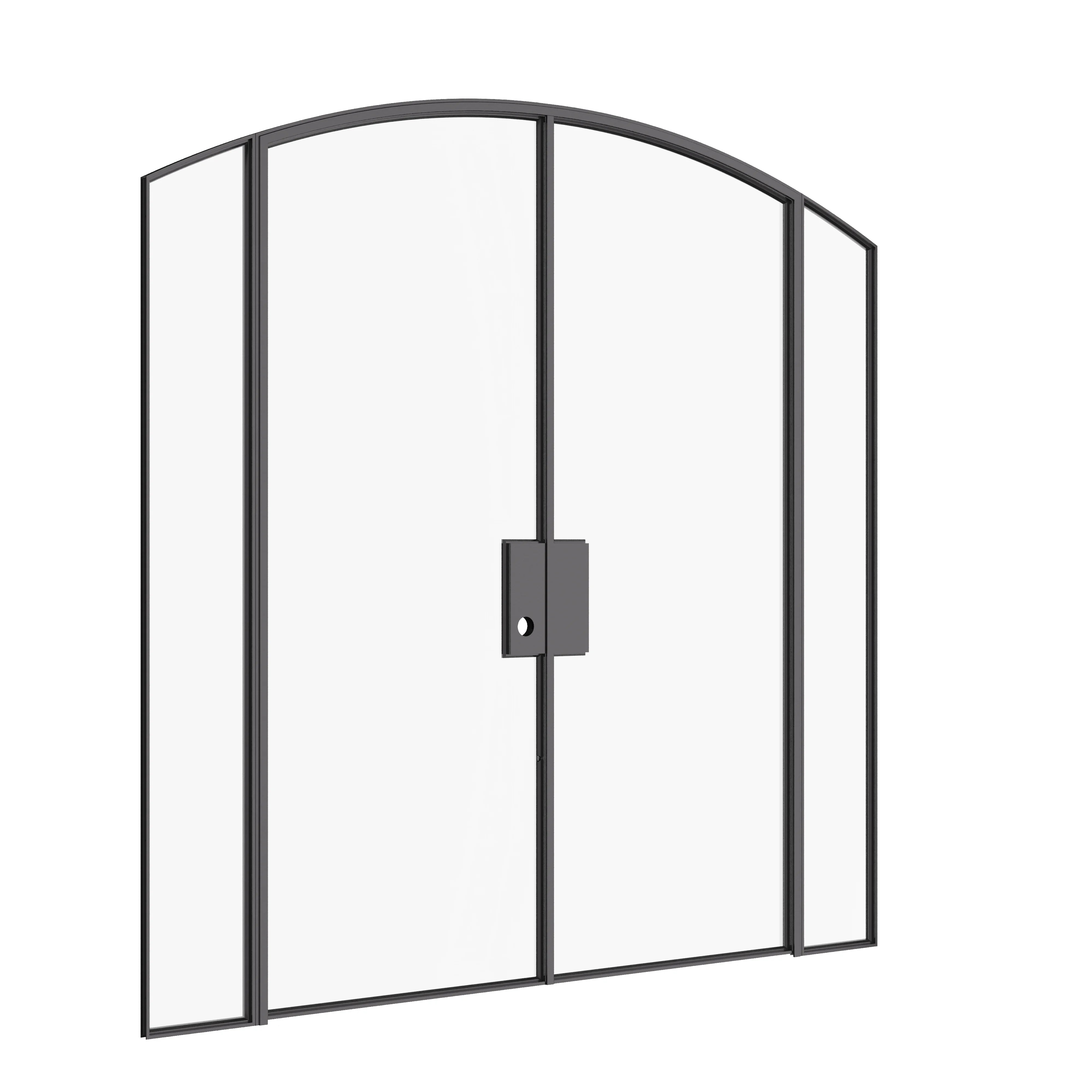 Architectural double arch steel door with sidelights and balanced proportions.