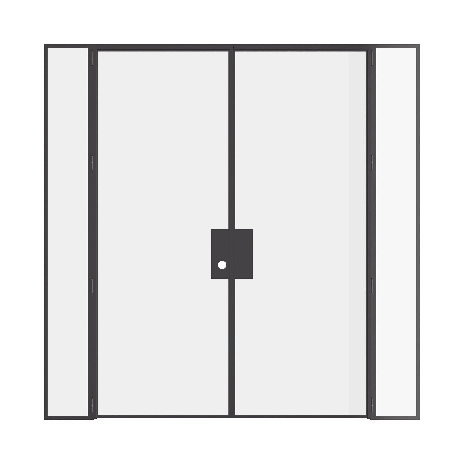 Double flat steel door with sidelights, hot-rolled steel and narrow architectural profile