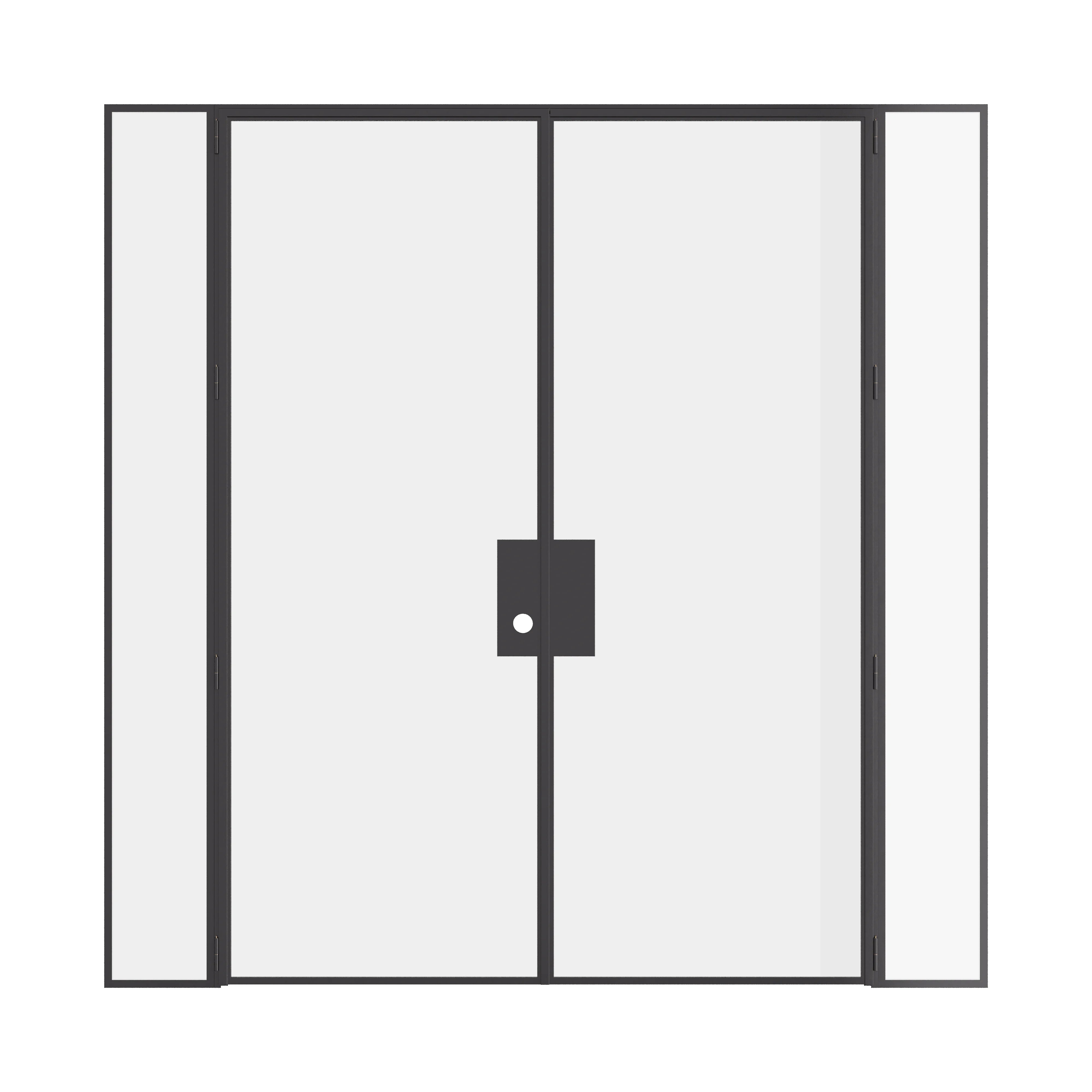 Double flat steel door with sidelights, hot-rolled steel and narrow architectural profile